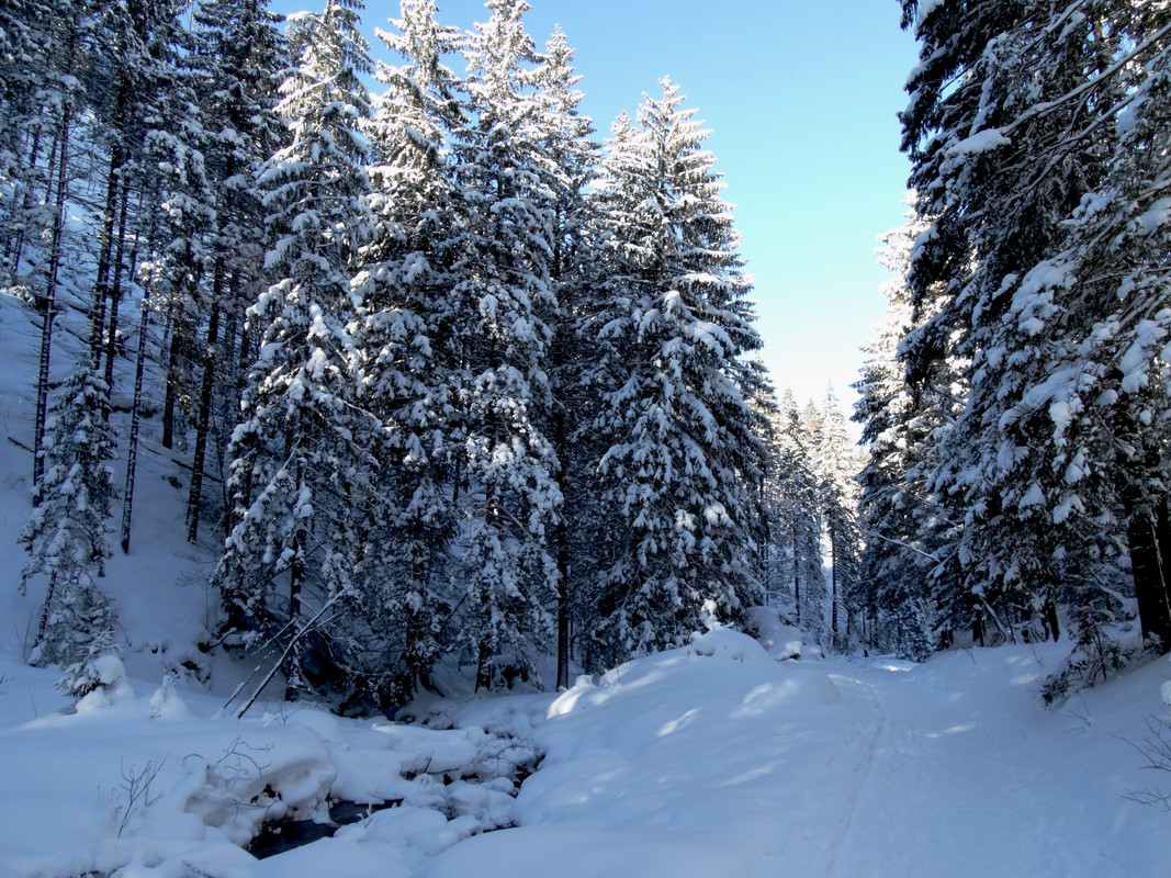 05.29 - DSC06272 (Czesio1)