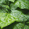 Rain-A-4