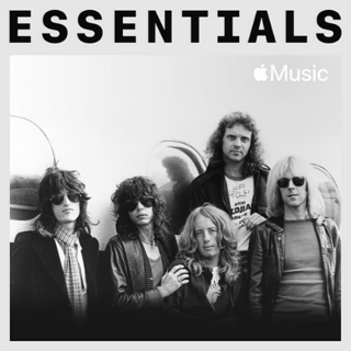 Aerosmith - Essentials (2020).mp3 - 320 Kbps