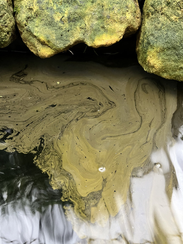 20231012_075451284_iOS