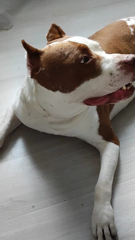 E0630F4C-299F-4E70-A54B-34A38916BFEC