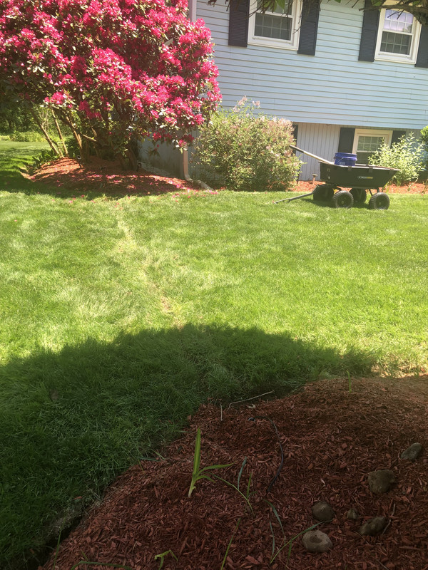 EBAACFC6-08A8-430D-BDD0-8021FB66B87C