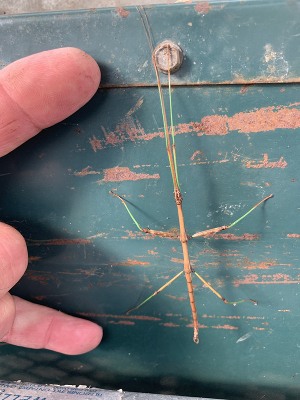 D7519A8C-6F9C-40D0-BDAC-8672DD6D3B0B