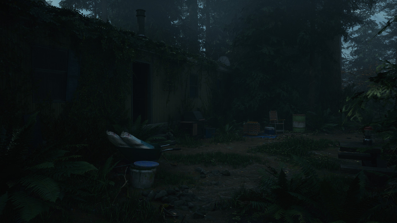 Alan Wake2 2026 06 06 15 58 57 614