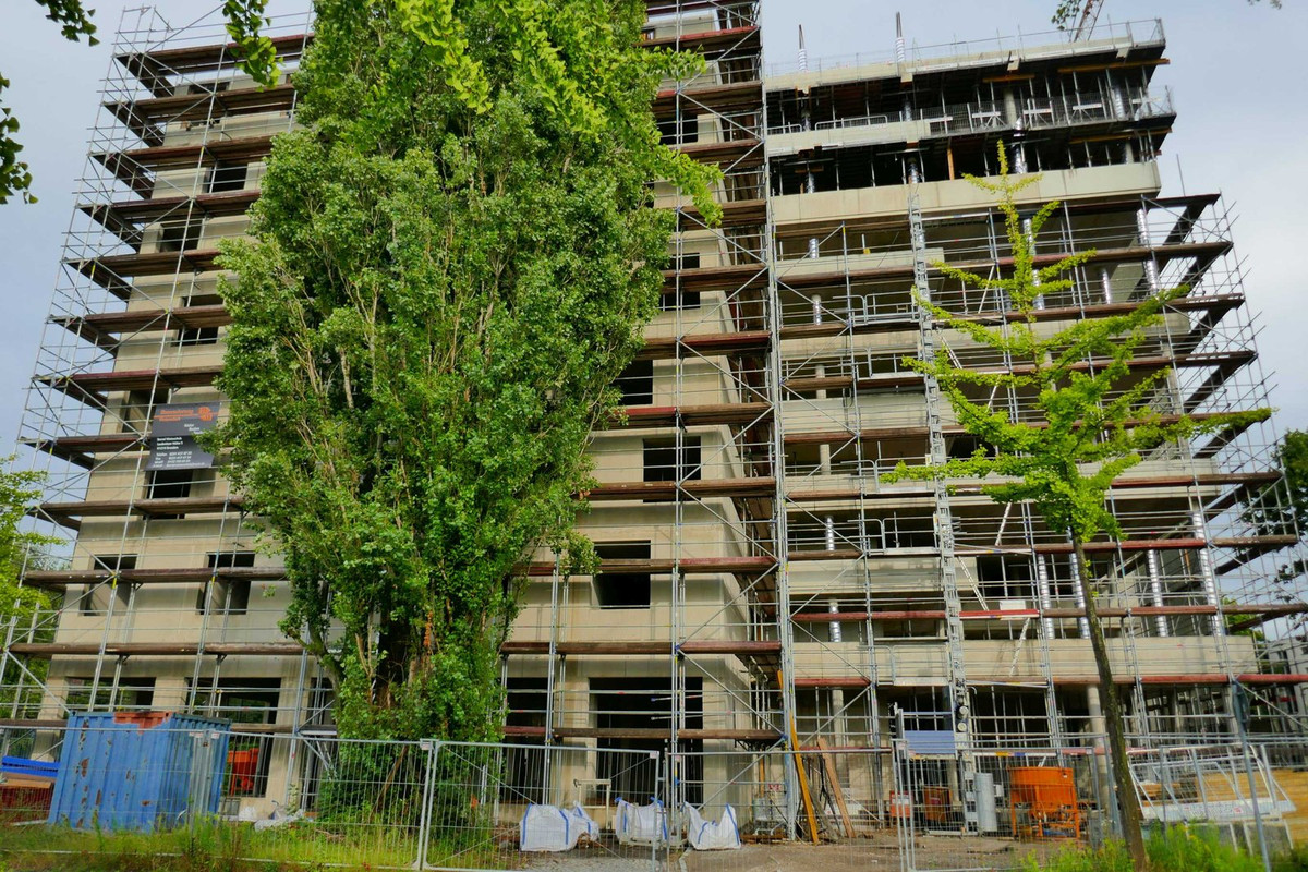 Bild: https://i.postimg.cc/13Sr6cKc/P1290950.jpg