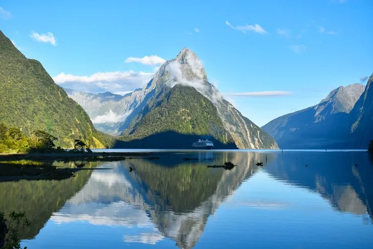 Unused Zealand