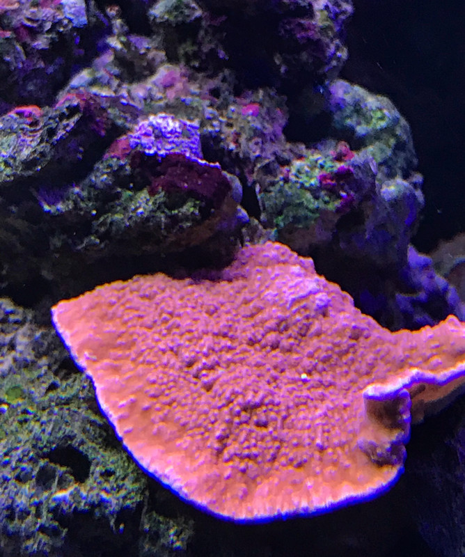 43E4FA99-0735-4271-AD15-7B310408EF3C