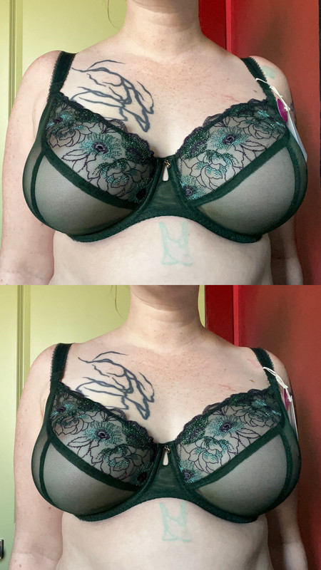 9481DB23-2C30-492A-9E6A-F437500658FE