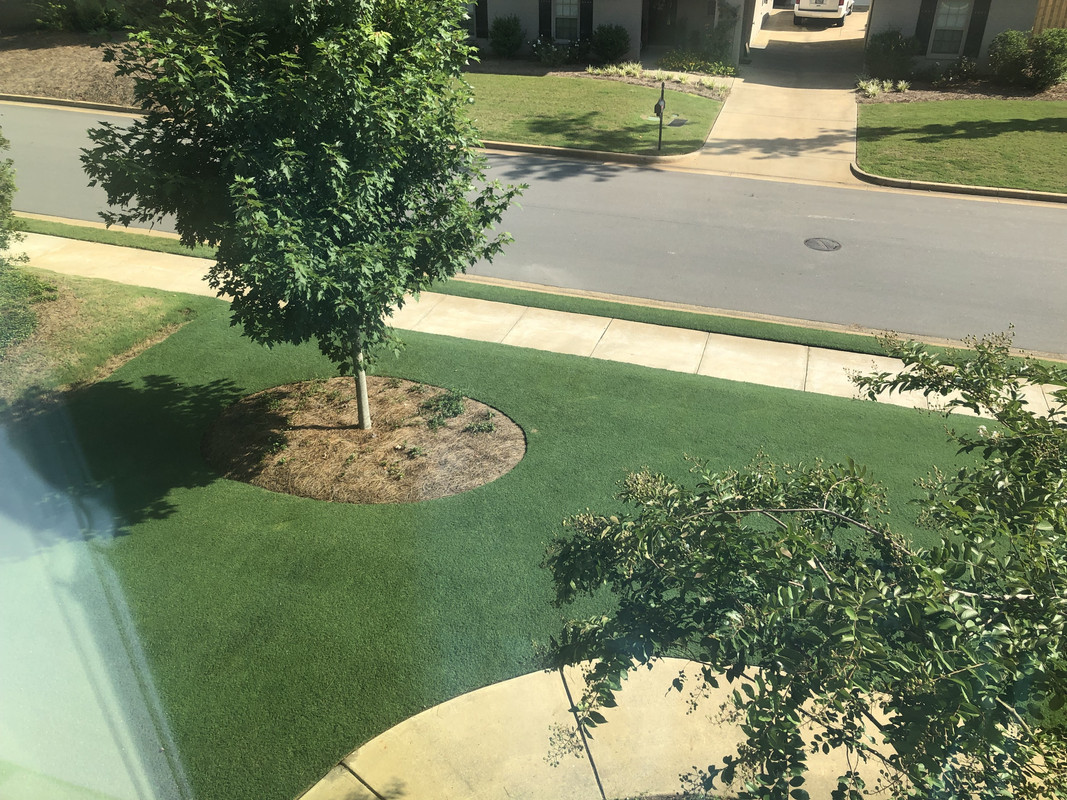 DB7921E4-F9CF-472D-A94D-BD652B1396E0