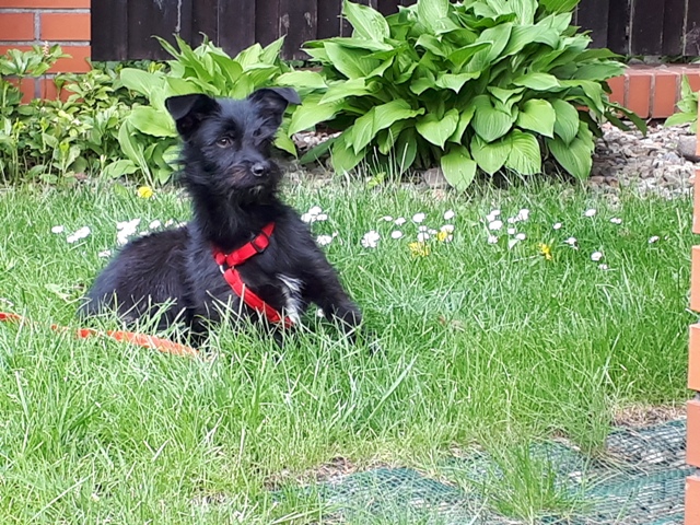 Kofi-6.jpg