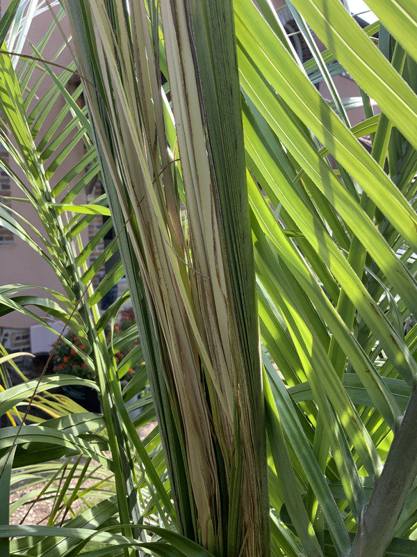 15C5C15B-E8FD-4CBA-A653-C6A40BC64D6B