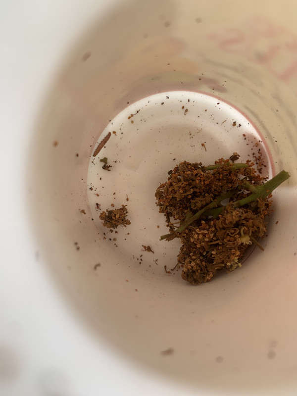 3B1CA268-6FB3-4D29-BA8D-D6E1A21089BB