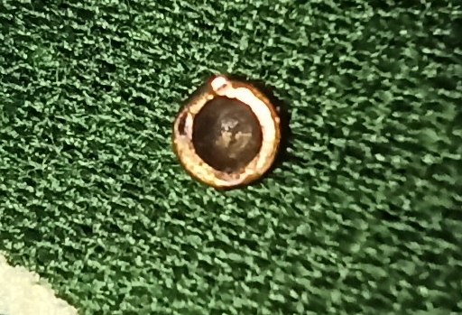 Fulminante perforado 20210731_230315