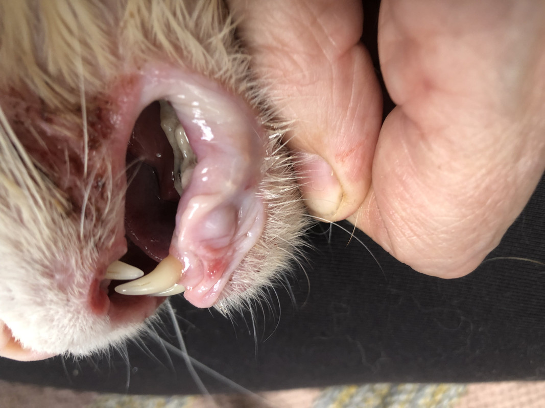 86CC5A86-34AB-43B7-BEF6-384057CF14C2