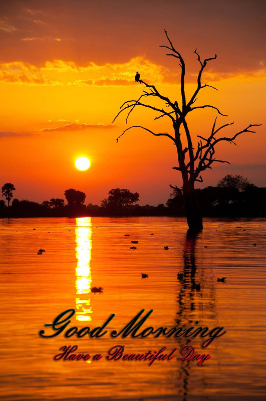 Have a Beautiful Day Good Day pictures, Good Day images, Good Day graphics, Good Day scraps, comments, Pics, Fotos, Photos, Facebook, Whatsapp, Instagram, Myspace, Hi5, Friendster and more day graphics
