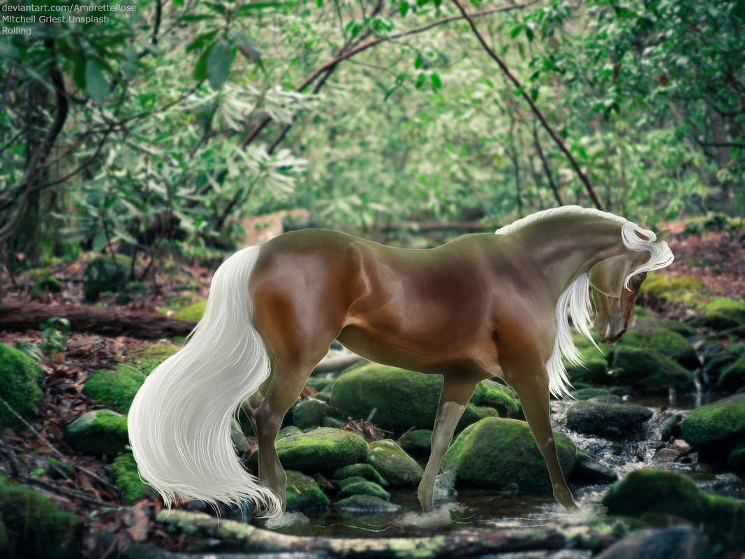 IMG-0407.png