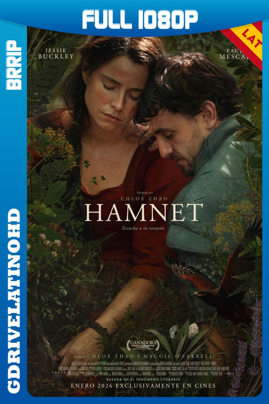 Hamnet (2025) BRRip 1080p Latino-Inglés