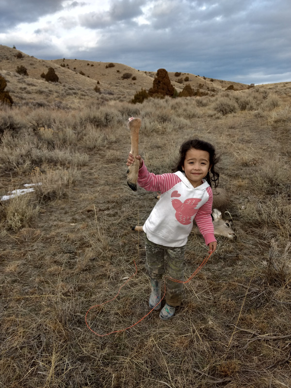 IMG_20171122_145308081_HDR