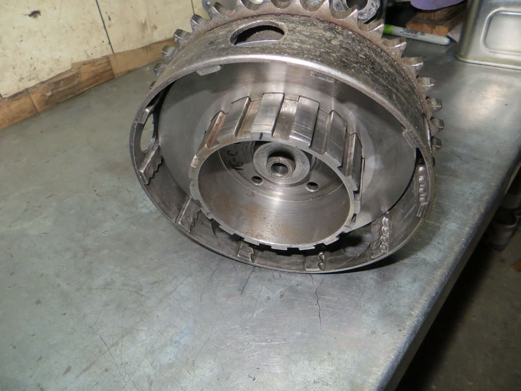 denture de noix peu marquée