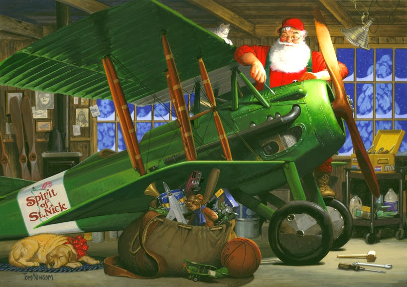 tom-newsom-airplane