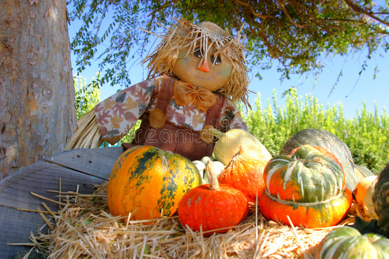 [Image: fall-bounty-30012.jpg]