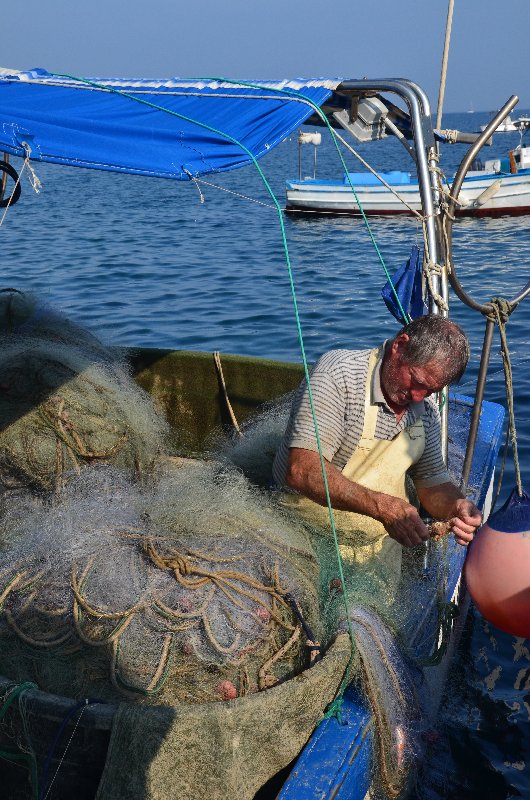 Italia y sus pueblos-2018/2019/2023 - Blogs de Italia - ISLA DE ISCHIA-21-9-2018 (36)