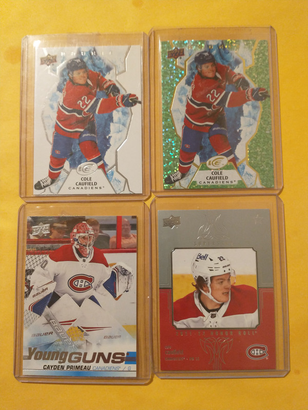 IMG_20250415_121553585