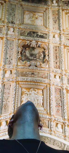 Pizcas de arte en Venecia, Mantua, Verona, Padua y Florencia - Blogs de Italia - Pateando Venecia entre iglesias y museos (22Kms) (173)
