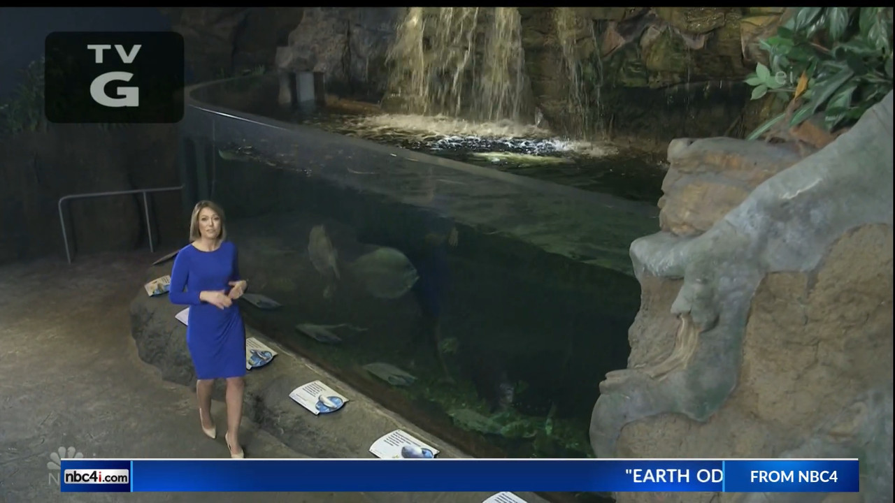 11.07 - 15.00.00 - Earth Odyssey With Dylan Dreyer. The world's smart....ts_snapshot_00.24.59.428