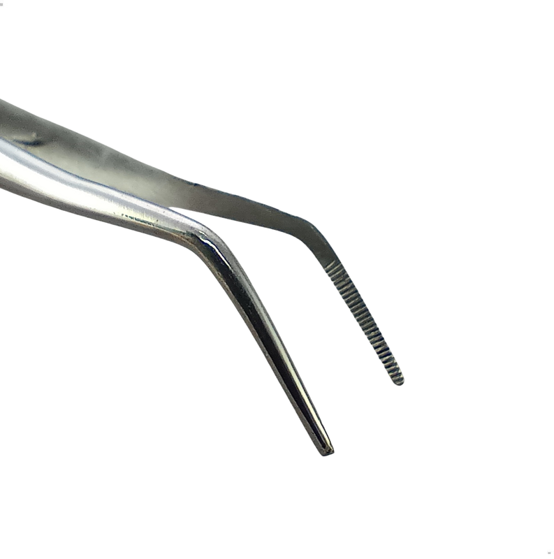 Pinca Clinica 16cm PK 44