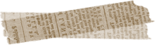 brown 49