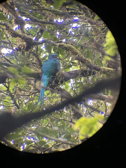 Reserva biológica del bosque de Monteverde - Tamarindo - Costa Rica desde el aire. Una ruta diferente. Julio 2021 (3)