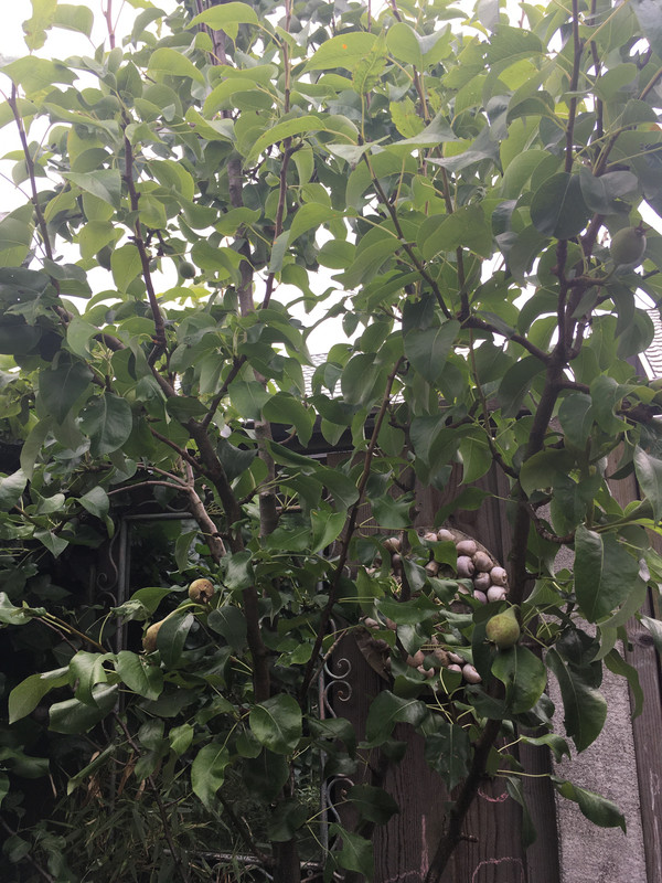 589D7D67-582E-4C5C-B1EA-863598DF6F48