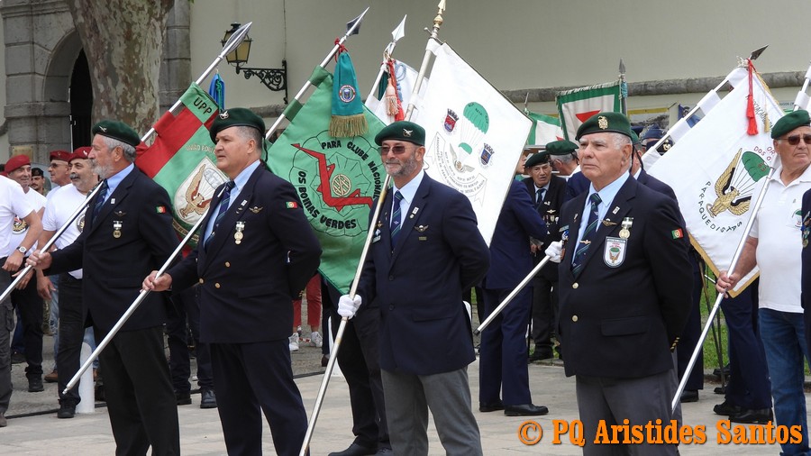 506695165-2427595530955957-3050863691174651725-n