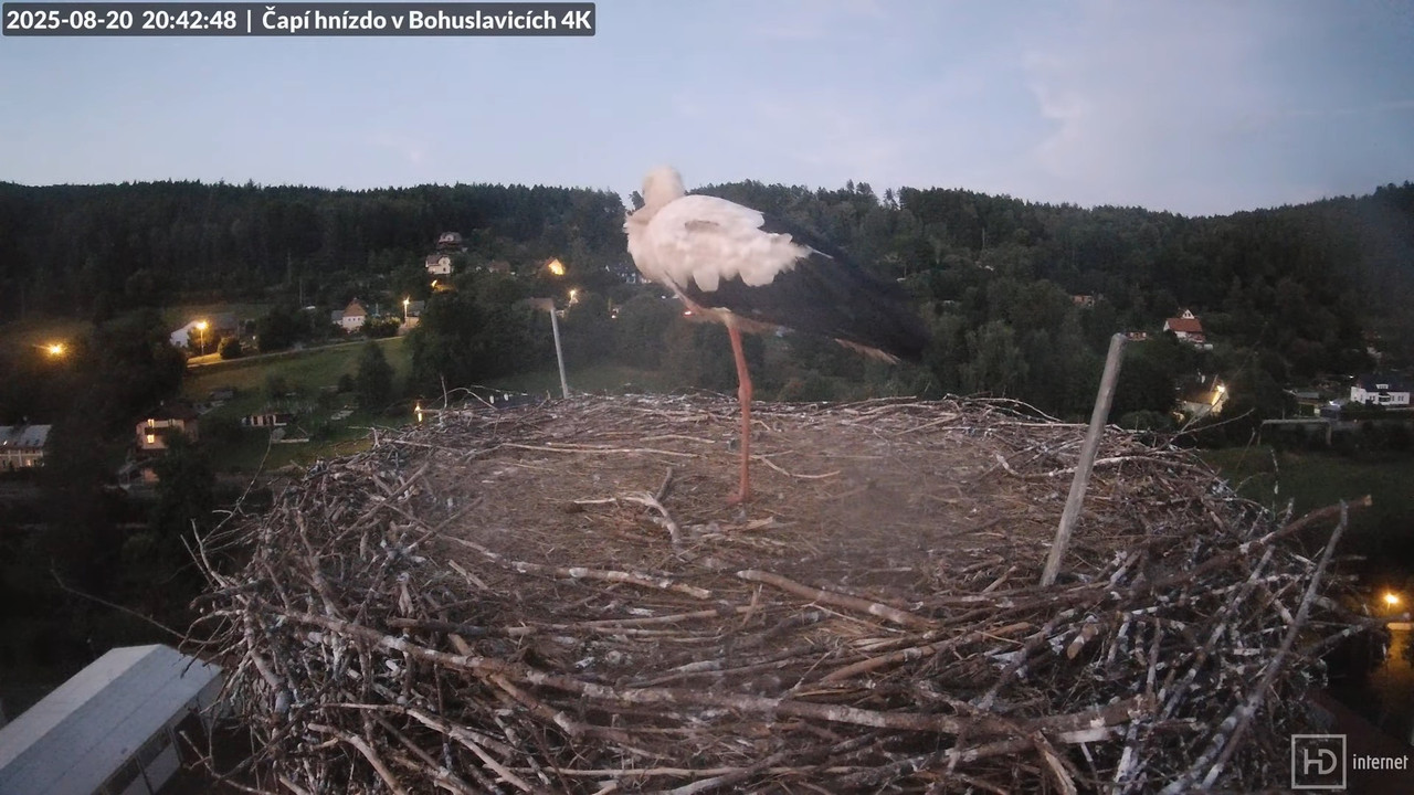 Živě z čapího komína firmy KARA v Bohuslavicích u Trutnova 15-33-19 screenshot