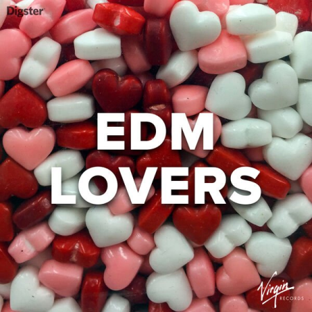 721e532c 1e56 4616 9f50 b87d0106cd6d - VA - EDM Lovers 2023 (2023)