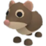 Shrew