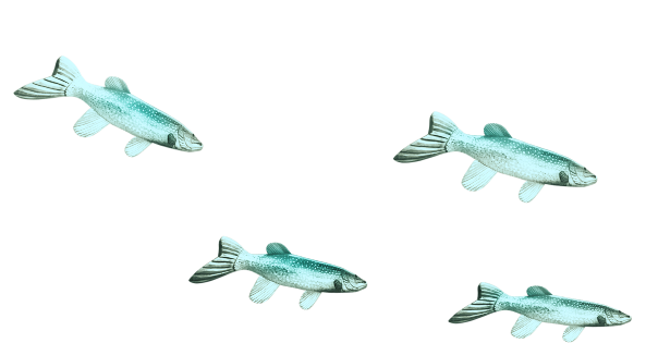 BIBI-UNDER THE SEA  ELEMS (73)