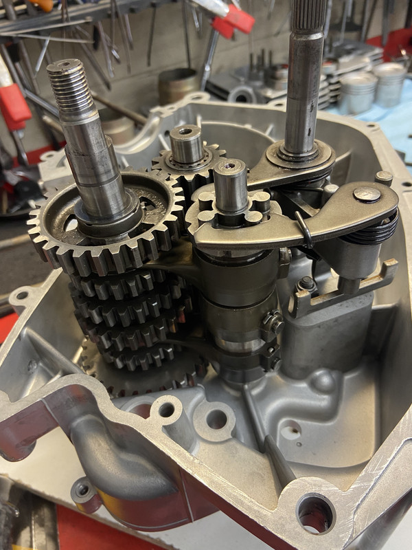 8E59ABC3-9A5D-4107-A727-2275D72B23C5