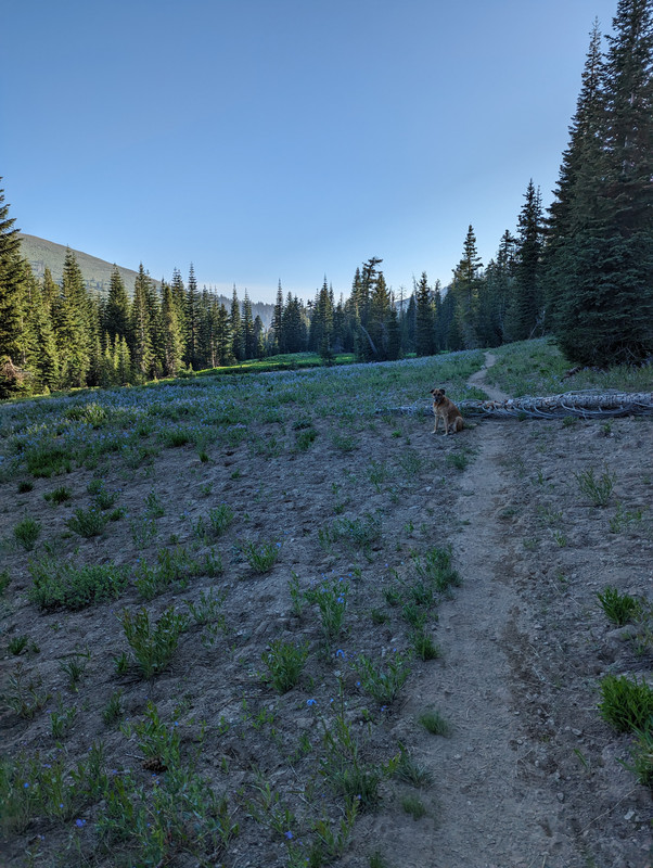 PXL_20250710_142856720