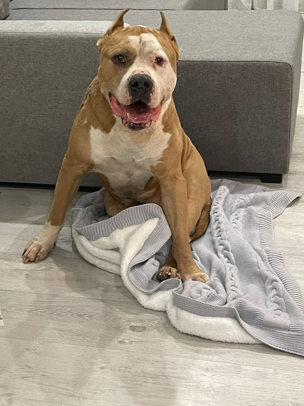 D2CB0D9F-2FA1-4988-A6EE-1046732F16E3