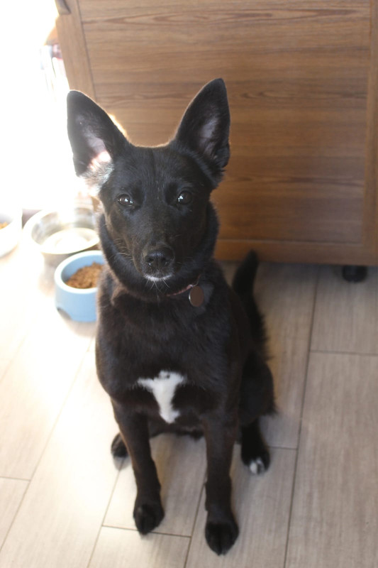 Изображение WhatsApp 2024-07-01 в 12.18.51_cf9943cb