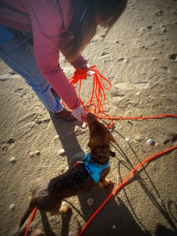 [Image: IMG-2692.jpg]