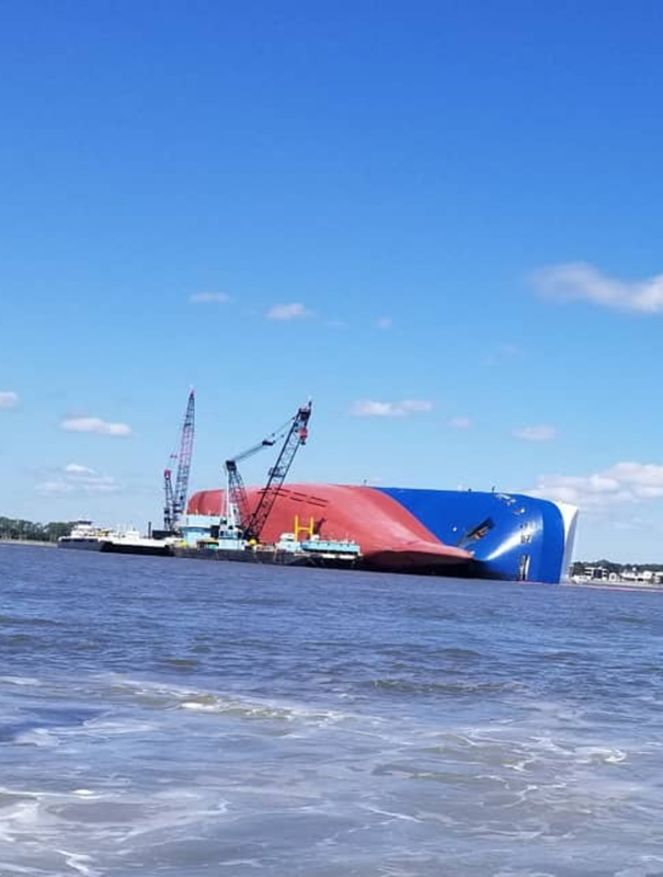 Screenshot_20241014-103526