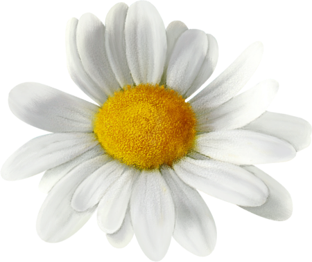 Kit_Just_Bee_In_ME (58)