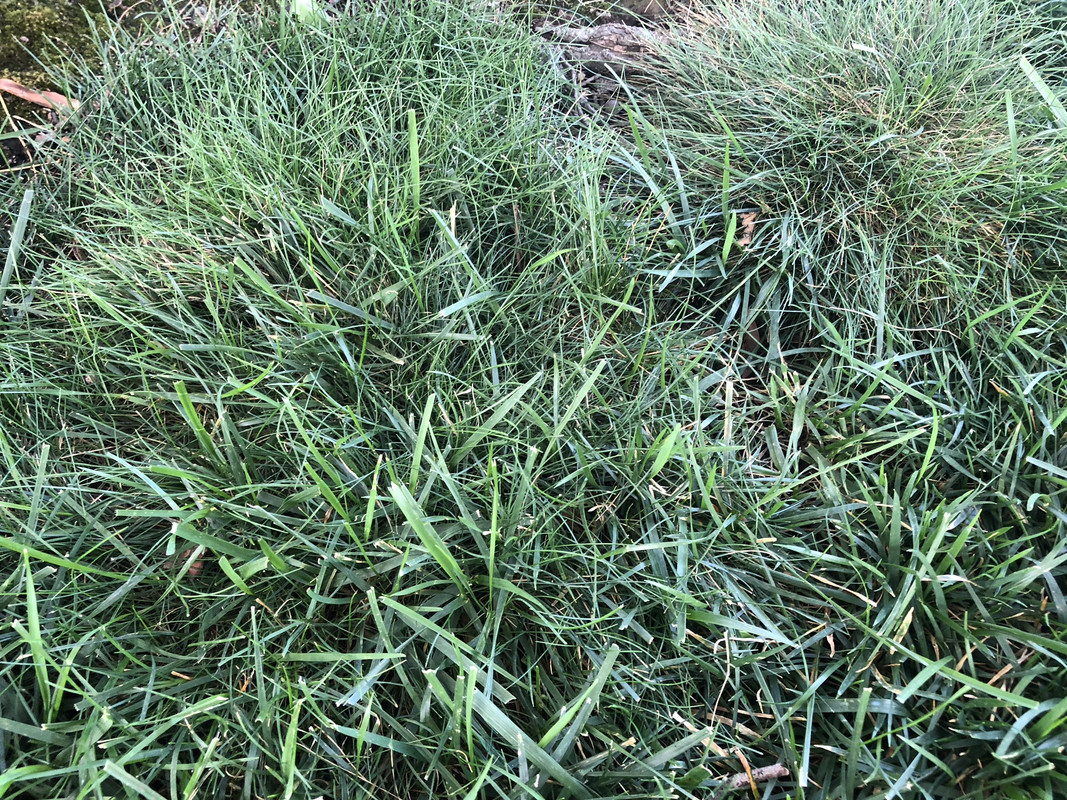 F89E0712-8D08-4A40-BC3C-8BE5AFBDEBA6