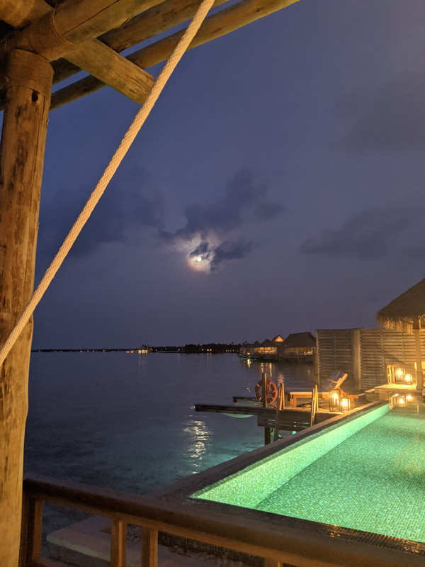 PXL_20201101_032311245.NIGHT (1)