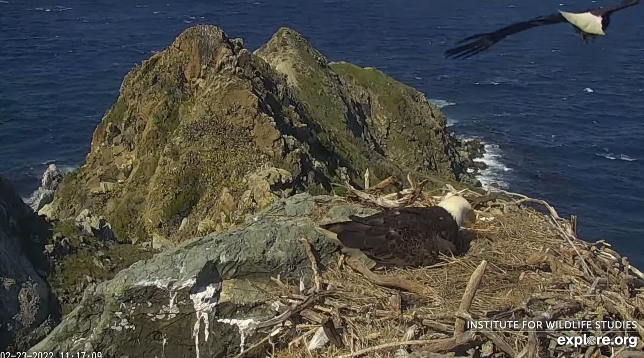 4EE02A0C-E158-4A74-91D4-236C6AEC8685