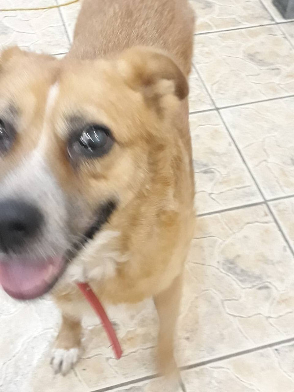 2CDD9A0F-08B6-4CA8-9556-7DD58AC4D309