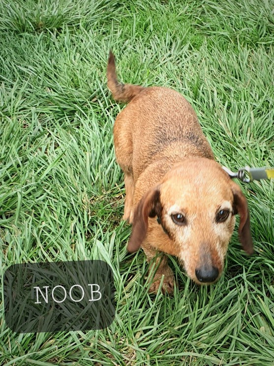 [Image: 20221028-204047.jpg]